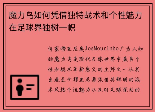 魔力鸟如何凭借独特战术和个性魅力在足球界独树一帜