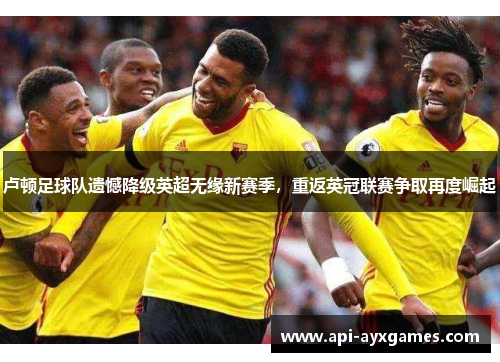 卢顿足球队遗憾降级英超无缘新赛季，重返英冠联赛争取再度崛起