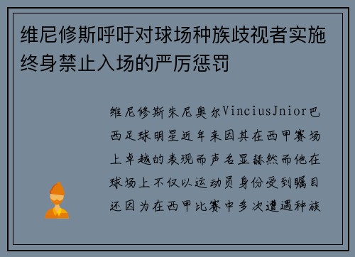 维尼修斯呼吁对球场种族歧视者实施终身禁止入场的严厉惩罚